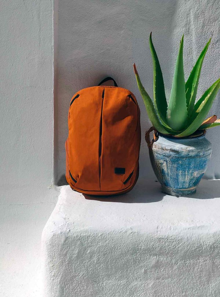BACKPACK ROAMER – 4/8